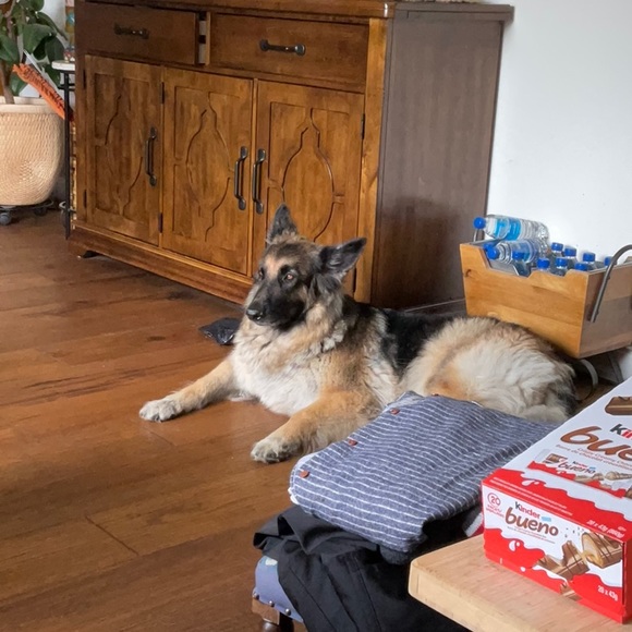 Meet your Posher, Jianping - Picture 1 of 1